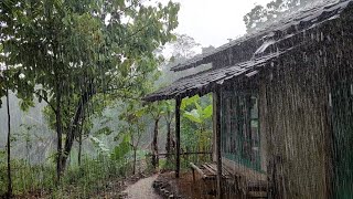 Beautiful Heavy Rain in Remote Villages, Get Rid of Insomnia Quickly and Naturally