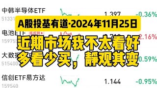 2024年11月25日A股复盘总结：近期市场我不太看好，多看少买，静观其变 #a股市场 #a股分析 #中国股市