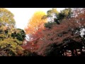 2013.12　まだ間に合う！小石川後楽園の紅葉