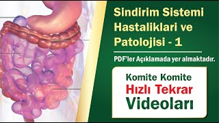 17  | Sindirim sistemi hastaliklari ve patolojisi 01- Hızlı Tekrar