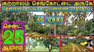 குற்றாலம்செங்கோட்டை NH அருகே 46 ஏக்கர் தென்னை.மா.கோழிபண்ணை.சென்ட் 25 ஆயிரம்-1048-022.12.28 #hom #JJJ