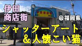 伊田商店街（福岡県田川伊田駅前）シャッターアートと人懐こい猫