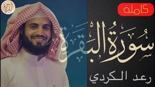 سورة البقرة كاملة رعد الكردي - Sourat al baqara Raad Alkurdi