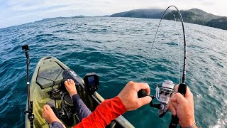 Offshore Kayak Fishing a Remote Coast (CATCH CLEAN COOK) Multi-Species Slayfest in Panama