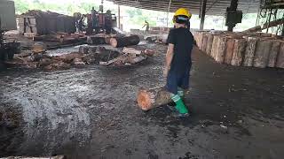 How it's made - Sago Flour processing from the start