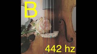 Cello Drone B (442 Hz)