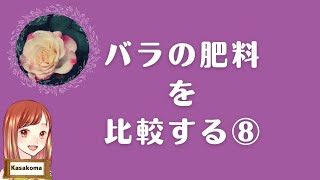 ⑧〜春の開花の様子を見比べてみたら大きな違いはあった!?