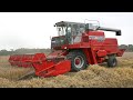 Classic 1980s Massey Ferguson 865 combine | Combining spring barley