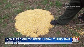 Men Plead Guilty After Illegal Turkey Bait