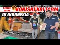 KOLAM KOI ESTETIK DI TERAS KONISHI KOI FARM INDONESIA  :|  SEIRYUU KOI CARP