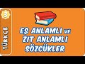 Eş Anlamlı ve  Zıt Anlamlı Sözcükler | 3. Sınıf Türkçe evokul Kampı