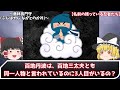 【ゆっくり解説】『忍者』謎に包まれたその「歴史」と「現在」を解説