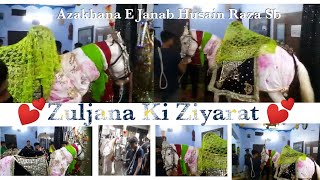 Zuljana Coming Inside Azakhana E Janab Husain Raza Sahab || Kashiyana E Raza Maidan L.H kha Lucknow