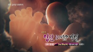 160326 글로벌다큐멘터리 예고 ㅣ KBS방송