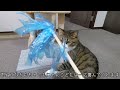 猫に手作りおもちゃを作って遊ぶススメ【ビニールかさかさ】