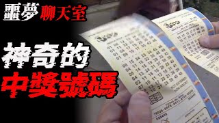 神奇的中獎號碼|抱歉我老公骚扰你们了|你压着我了|鬼故事|恐怖故事|解压故事|灵异|恐怖#恐怖故事#灵异故事#都市傳說#靈異事件#鬼故事#推薦#北京#天津#解压故事#助眠#睡前故事#噩梦#流量#電影