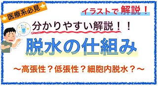 教科書をわかりやすく！「脱水の仕組み」〜高張性？低張性？細胞内液？簡単に解説！〜