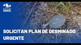 Preocupación por aumento de instalación de minas antipersonal en Argelia, Cauca
