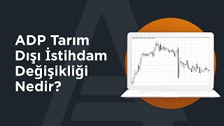 ADP Tarım Dışı İstihdam Değişikliği Nedir? | AMarkets