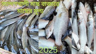 সন্দেশখালী মাছ বাজারে মাছের মূল্য 2025 | Sandeshali fish health fish value | Sundarban #india #food