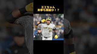 ミエちゃん 来季も残留か！？ #阪神タイガース #ミエセス