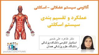 جلسه اول : عملکرد و تقسیم بندی سیستم اسکلتی | آموزش جامع علوم تشریح (آناتومی) اسکلتی - عضلانی