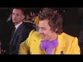 people bullying harry styles for 8 minutes straight
