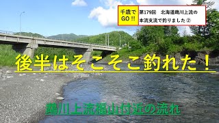 千歳でGO!! 第179回　北海道鵡川上流の本流支流で釣りました ②。ヤマメ、ニジマス、ホウライマス、ウグイが釣れました。