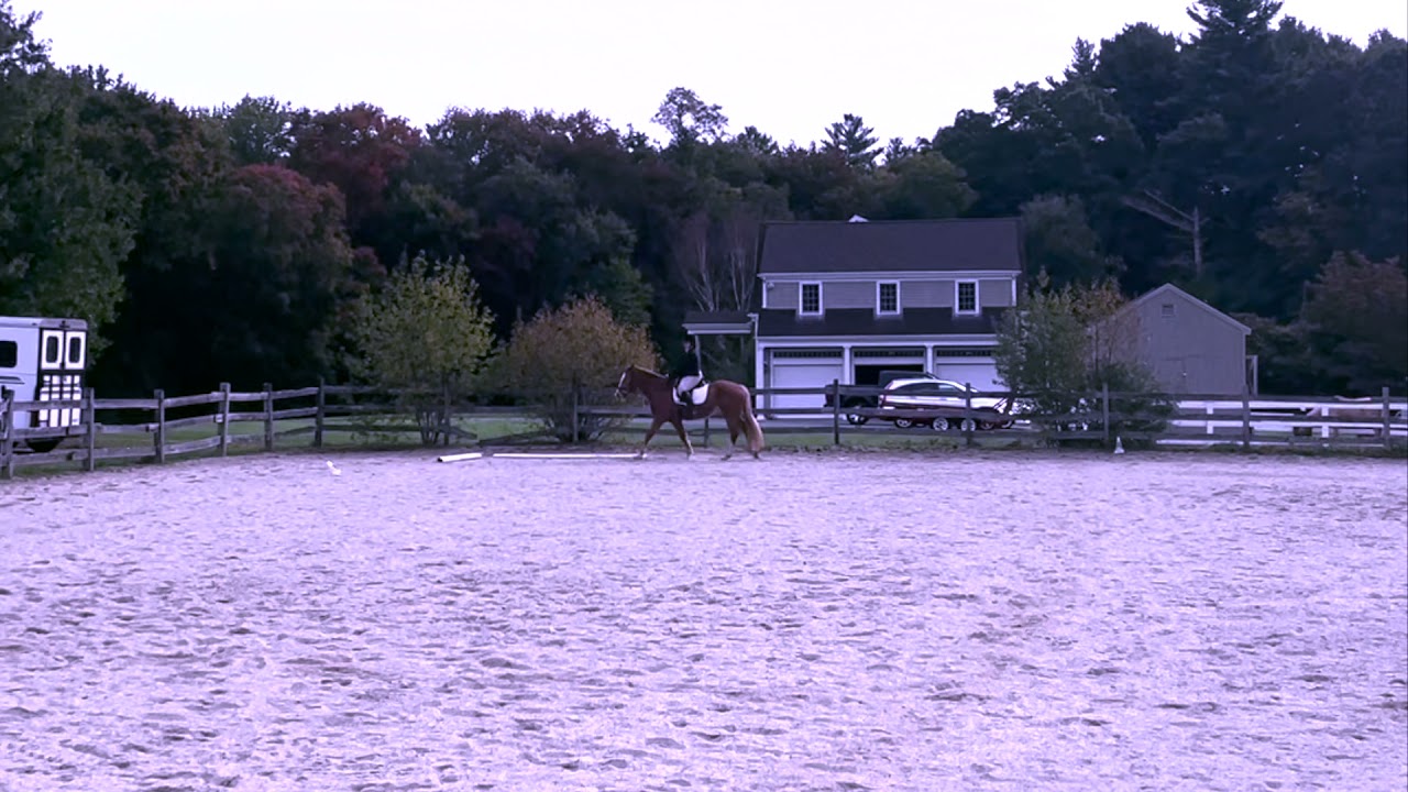 Caroline Kilduff Nikita AA USDF Introductory Level B Test - YouTube