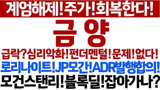 [금양 주가전망]계엄해제주가회복!급락?심리악화!왜!주가회복될까?로리나이트회장방한!JP모간!ADR발행합의!모건스탠리!블록딜잡나?