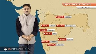 Weather Forecast for Maharashtra for Jan 13: Cold wave conditions will continue in several parts