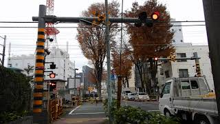 【踏切】東急多摩川線　極太警報機の踏切 (Railroad crossing in Japan)