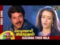 Mounam Sammadham Tamil Movie Songs | Kalyana Then Nila Video Song | Amala | Mammootty | Ilayaraja
