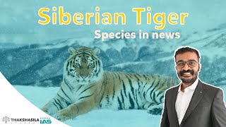 Environment \u0026 Ecology Current Affairs | Siberian Tiger | Species in news  #civilservice #upsc