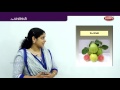 Learn Fruits Names in Malayalam | Pazhangal | Preschool Educational Videos For Toddlers