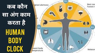 हमारे अंदर कब-कब कौन सा अंग चलता है | HUMAN BODY ORGANS ON / OFF TIME | UNDERSTAND HUMAN BIO CLOCK