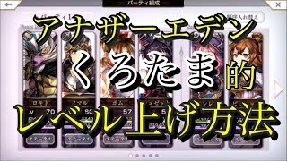 【アナザーエデン】レベル上げと場所解説 合うか合わないかはあなた次第ｗ【アナデン】