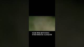 눈덮힌 산에서 핸드폰 찾기