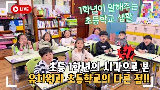 👩🏫 초등 1학년의 눈으로 본ㅣ유치원vs 초등학교ㅣ충격!!ㅣ이런 게 다르다고??