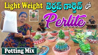 పెర్లైట్ ను వాడటం వల్ల ఎన్ని లాభాలో.. Perlite Uses In Telugu | Perlite For Plants ACH Gardenig Vlog