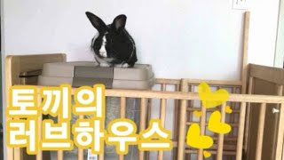 3년만에 집이 생긴 토끼. 집 만들기 ! 도끼집 꾸미기[ENG sub]