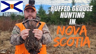 Ruffed grouse hunting in Nova Scotia