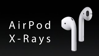 AirPods X-Ray