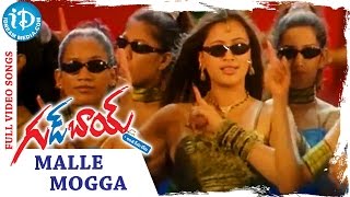 Mallemogga Video Song - Good Boy Movie || Rohit || Navneet Kaur