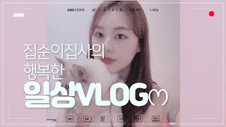 집순이 집사의 퇴근 후 vlog ෆ̈ (서울자취생의 하루 일상 기록,냥꼬율무랑 놀기 ,집사의 하루)