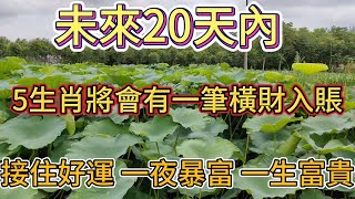 未來20天內！這5個生肖將會有一筆橫財入賬！天賜好運！大賺特賺，鈔票扎堆來！接住好運！一夜暴富，一生富貴！#風水 #財運 #財富 #传统文化 #分享 #老人言