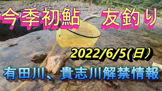 有田川ダム上で久しぶりのアユの友釣りと貴志川解禁