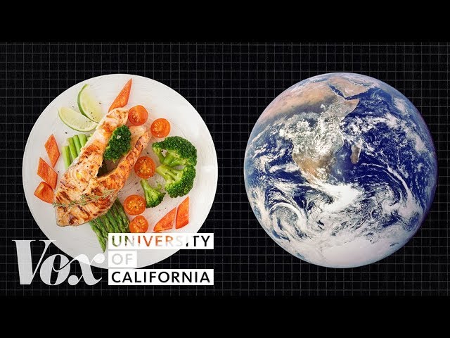 Diet That Helps Fight Climate Change…: English ESL Video Lessons