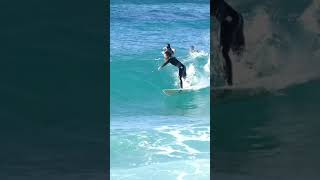 とある島の【THE DAY】こんな日にサーフィンしないなんて出来ません#shorts #surfing