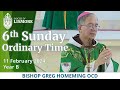 Catholic Mass Today Sixth Sunday Ordinary Time 11 Feb 2024 Bishop Greg Homeming Lismore Australia